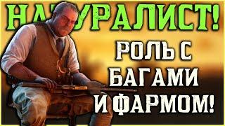 Натуралист в Red Dead Online! Баги и немного фарма!