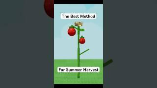 THE TOMATO METHOD IS STILL THE BEST FOR SUMMER HARVEST IN ROBLOX GROW A GARDEN #roblox #growagarden