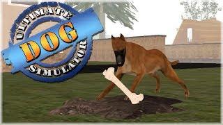 Life as a Stray Great Dane!! • Ultimate Dog Simulator