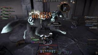 1 Заход в ГЭ = 2 Разных Артефактных Лука | Neverwinter Online