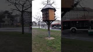 Голубятня. Домик для голубей в Германии. Dovecote. Pigeon house in Germany