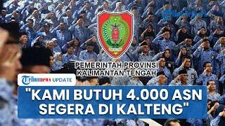 Krisis Tenaga ASN, Pemprov Kalteng Minta Pengangkatan CPNS-PPPK Tak Ditunda: Kami Butuh 4.000 Segera