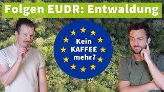 2025 KEIN Kaffee wegen EU Entwaldungsgesetz? #EUDR