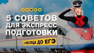 50 дней до ЕГЭ: что делать? Нарешивание, систематизация, практика, мотивация