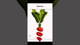 #gaming #vertex beetroot