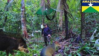 Acampamento selvagem na beira de um igarapé e um barulho relaxante.