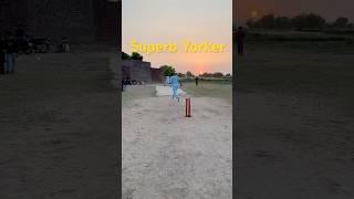 Yorker So Perfect It Broke Stumps!  #cricketshorts