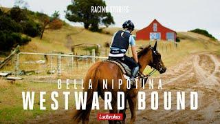 Bella Nipotina Will Run In The Ladbrokes Slot In The Quokka