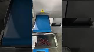 2D Frozen Meat Dicer #machine #foodmachine #food #machinefactory #factory #meatprocessingmachine