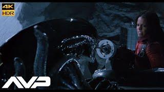 AVP: Alien vs.Predator (2004) You are one ugly mother... Scene Movie Clip Upscale 4k HDR -