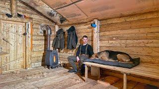 1 Year of living and building a log cabin in the wild forest