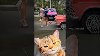 What happen next  #cat #meme #dance #trending