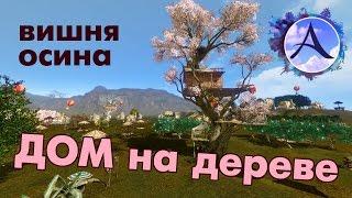 ArcheAge 2.5 - Домик на дереве (осина, вишня)