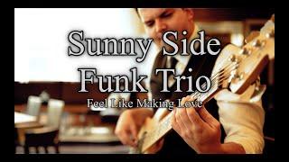 Sunny Side Trio - Feel Like Making Love - Künstlervermittlung Stuttgart - Musikkonzepte Thiel