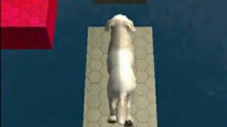 Pet Dog Game Simulator Android Gameplay HD WIZRec 480p Walkthrough Max Dog By Gamelon