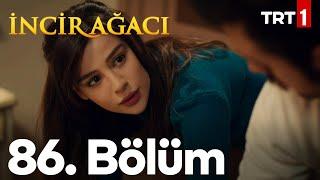 İncir Ağacı 86. Bölüm