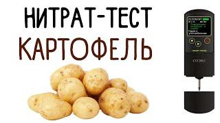 Проверяю картофель на нитраты.