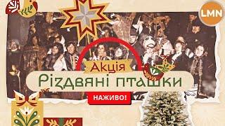 Зʼїзд "Різдвяні пташки" | В Мшанці розпочався великий зʼїзд вертепів з усієї України