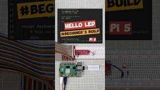 Your First Raspberry Pi Project: Blinking LED! #RaspberryPi #PythonProjects