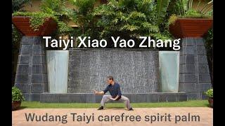 Taiyi Xiao Yao Zhang | Wudang Taiyi carefree palm | Liangyi | Taiji | Yin&Yang | Vitality | Energy