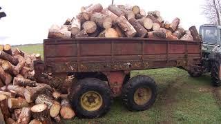 HAULING FIREWOOD OUT OF THE WOODS WITH A TRACTOR- Belarus MTZ 80