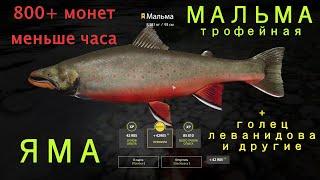 Рр4 | ТРОФЕЙНАЯ МАЛЬМА | ЯМА | + голец Леванидова | 800+ монет меньше часа