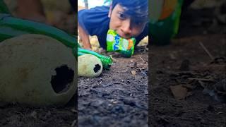 Swinging like Tarzan, communicating with millipedes and giving them tasty almonds, it's delightful!