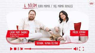 Hayvan Beslenmesinde Bilimsel Gerçekler | Kuru Mama / Yaş Mama Dengesi (6. Bölüm)