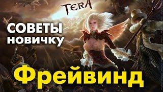 TERA online (RU) - Советы новичкам. Фрейвинд (что, куда и зачем)