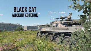 Black Cat | Адский Котёнок  | Обзор техники WT | Премиум техника