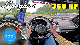 360HP LUPOGHINI is SMALL, LIGHT & FAST! on the AUTOBAHN