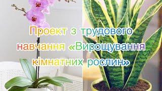 Трудове навчання 5,6,7 клас. Проект «Вирощування кімнатних рослин». Урок 1.