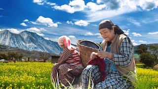 Barot - Most Beautiful and Unexplored Village of Himachal | Nishant Parmar