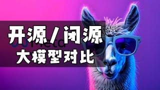 开源 vs 闭源大模型之争，LLAMA3.1 开源引起的血案！#大模型 #LLAMA3 #开源