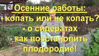 90. Осенний огород - восстановление плодородия!