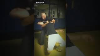 196_айкидо #shortsvideo #мма #martialarts #aikido