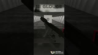TWELVE GLOUGE #vr #gaming #cursedguns