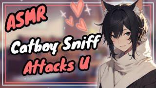 [ASMR] Catboy Sniffs U To Sleep RP ️️ | Gentle Whispers (Sleep Aid + Relaxation)