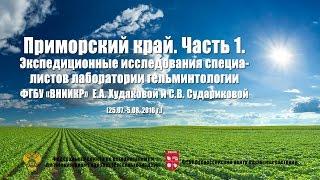 Экспедиционные исследования ФГБУ «ВНИИКР» в Приморский край.  Часть 1