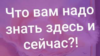 Что надо знать здесь и сейчас?!