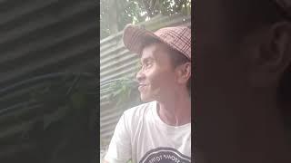 Roy Andrino fage