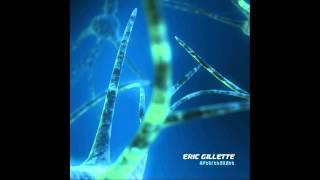 Eric Gillette - Lost (2013)