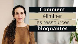 Comment éliminer les ressources qui bloquent le rendu dans WordPress | Tutoriel