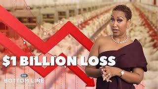 What's Going On at Jamaica Broilers?