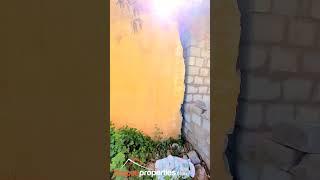 SOUTH FACE 15 ANKS PLOT WITH OLD HOUSE FOR SALE IN KORLAGUNTA NEAR KOTHAPALLI, TIRUPATI