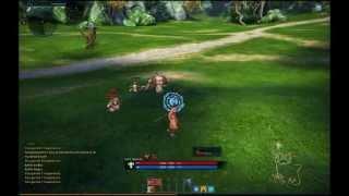 TERA Online All Classes Gameplay - Montage