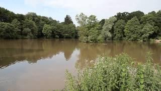 CREEDY LAKES, CREDITON, DEVON