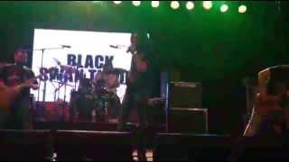 The Black Swan - Wicked Dreams - Live @ Metal Blast 2015 (fan capture)