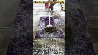 Miracle Carpet Cleaning Tricks! #satisfying