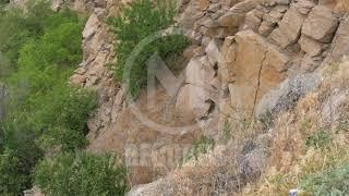 STOCK FOOTAGE - Stony Relief of The Forest-Steppe Zone